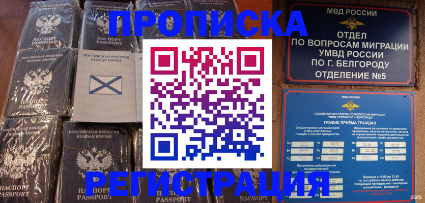 прописка гарантия в Волгоградской области